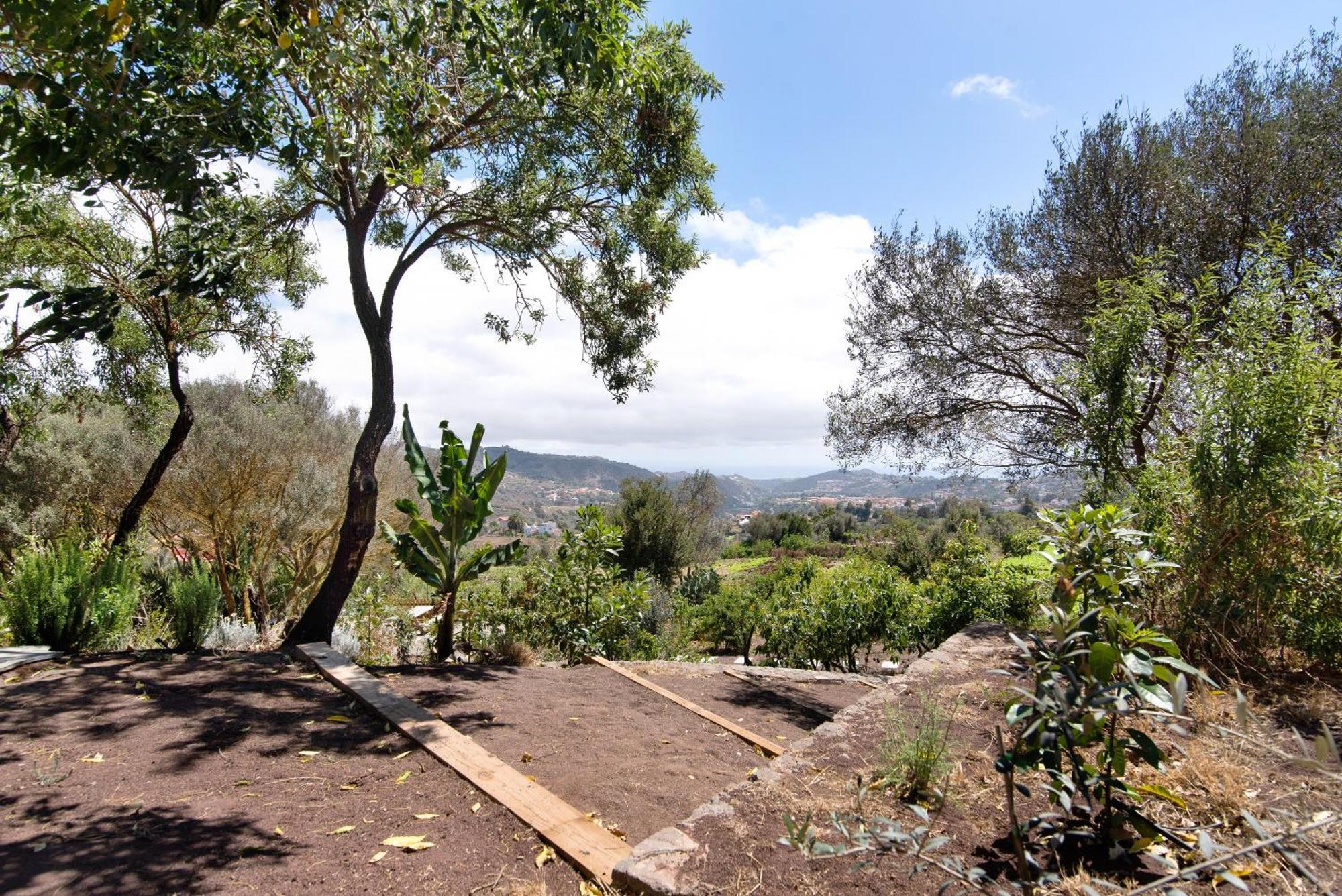 La Casita De La Orilla De Penate Villa Santa Brígida Exterior foto